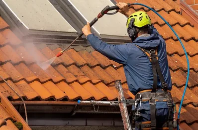 Démoussage et hydrofuge de toiture à Tronchy